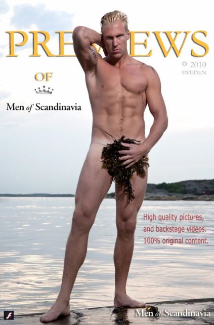 Scandinavian models nude