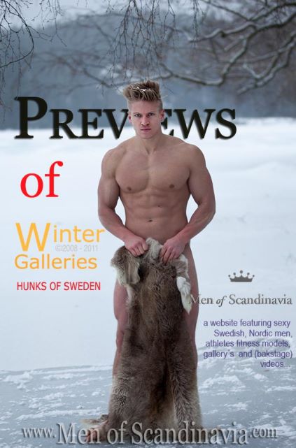 Vintage Swedish Gay Porn - Hunks of Sweden - Straight naked guys